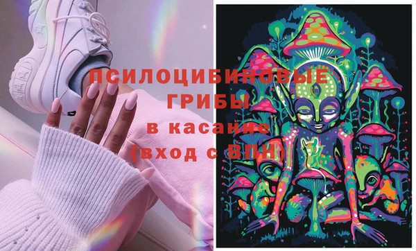 каннабис Аркадак